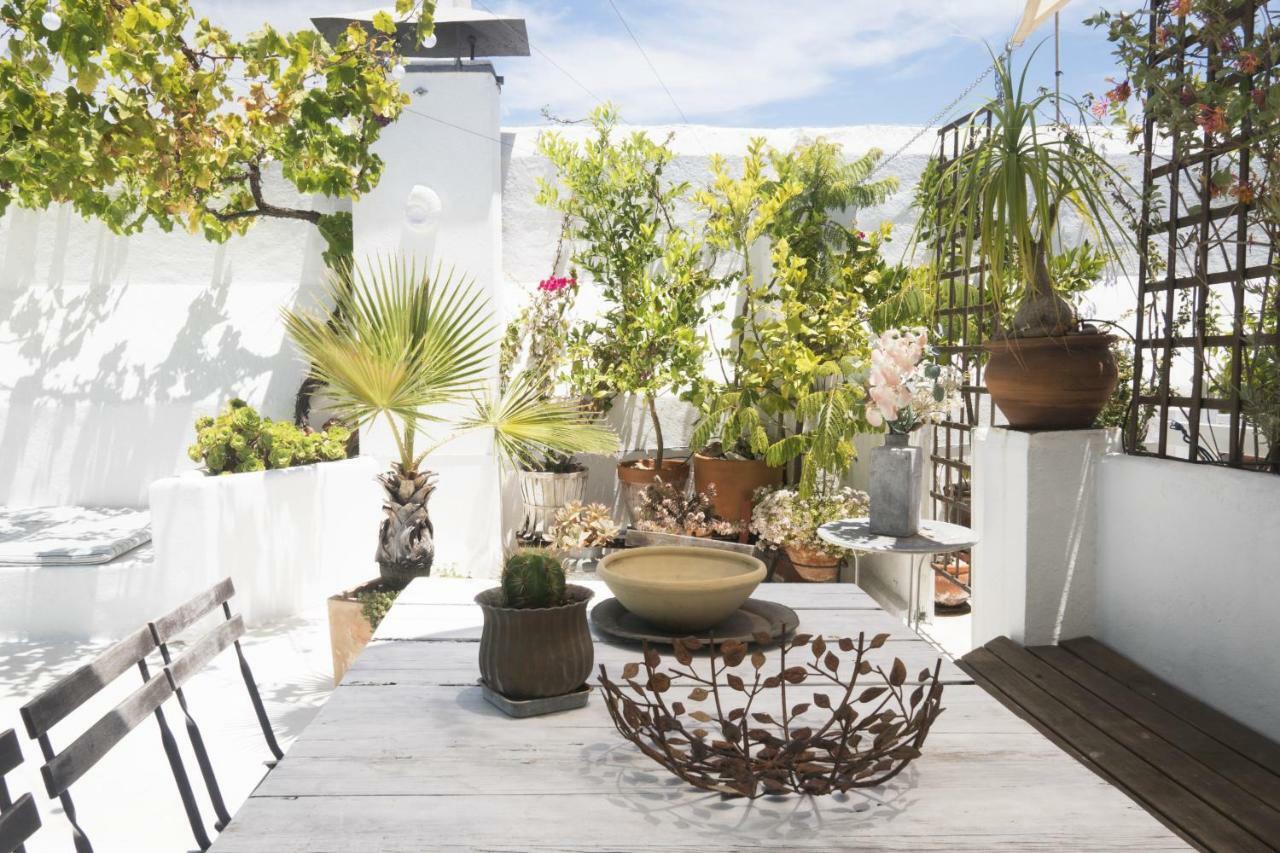 Amazing Penthouse Cádiz